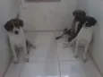 não definido