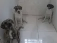não definido