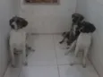 não definido