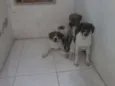 não definido
