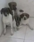 não definido