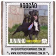 JUNINHO, fofura!