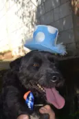 JUNINHO, fofura!