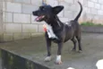 JUNINHO, fofura!