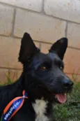JUNINHO, fofura!
