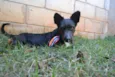 JUNINHO, fofura!