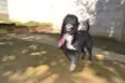 JUNINHO, fofura!