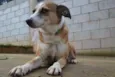 CLÉO, princesa linda!