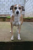 CLÉO, princesa linda!