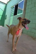 MELK, bebezão!