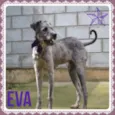 EVA, meiga e lindís