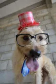 PANDY, menino lindo!
