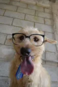 PANDY, menino lindo!