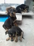 lindos