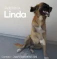 Linda