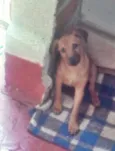 Bidu
