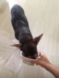 desconhecido