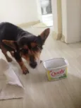 desconhecido