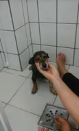 desconhecido