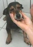 desconhecido
