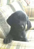 Princesa