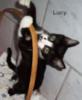 Lucy