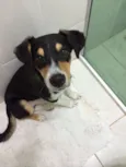 Marcelino