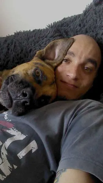 Cachorro ra a SRD idade 1 ano nome duque