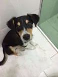 Marcelino