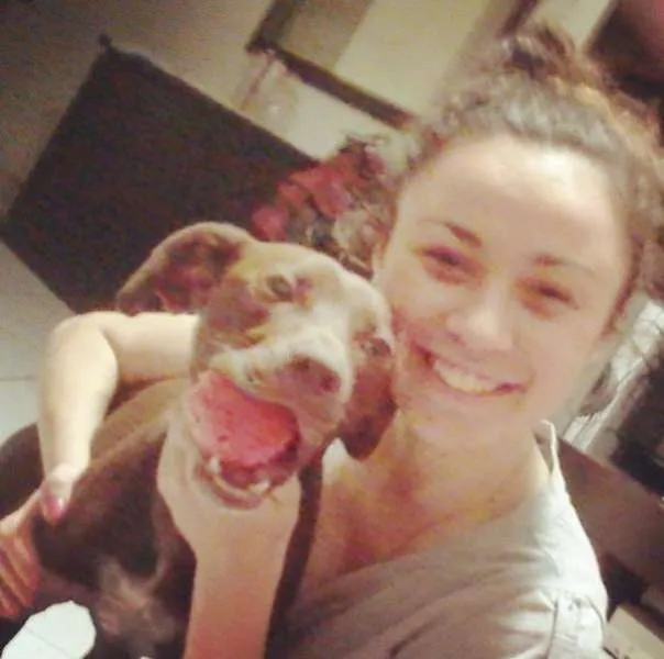 Cachorro ra a SRD idade 1 ano nome Bombom