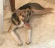 BARÃO