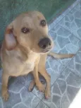 Nick