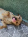 Nick