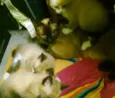 Curioso, bolinha e