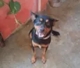 Bob