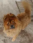 Shake