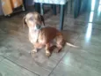 Zucker