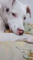 Lua