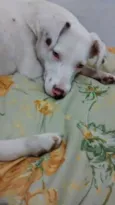 Lua