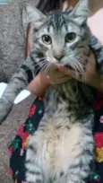 NEGUINHO