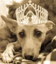 Belinha