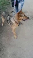 Laika