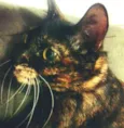 Agatha