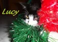 Lucy