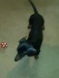 Negão 