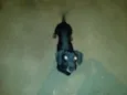 Negão 