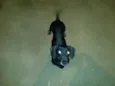 Negão
