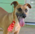 MELKinho, 1 ano, do