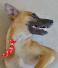 MELKinho, 1 ano, do