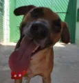 MELKinho, 1 ano, do